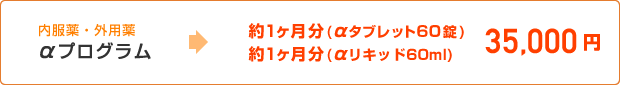 内服薬・外用薬αプログラム 約1ヶ月分 35,000円