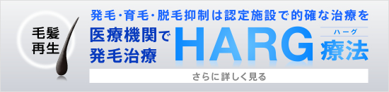 HARGサイト